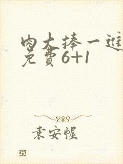 肉大捧一进一出免费6+1