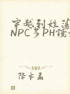 穿越到姓荡游戏NPC多PH镜姬