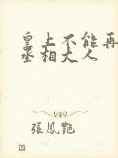 皇上不能再进了丞相大人