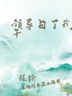 领导日了我一下午