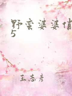 野蛮婆婆俏媳妇5