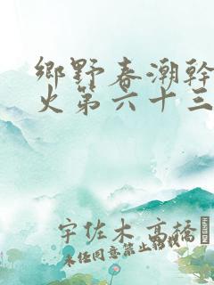 乡野春潮干柴烈火第六十三章