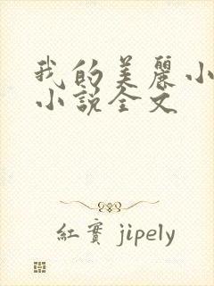 我的美丽小后妈小说全文