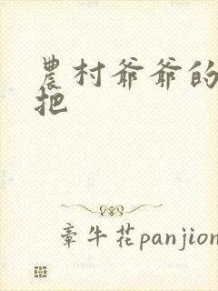 农村爷爷的大几把