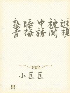 熟睡中被进了H青梅诱哄视频