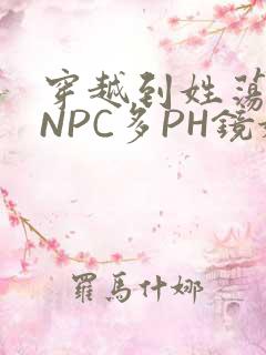 穿越到姓荡游戏NPC多PH镜姬