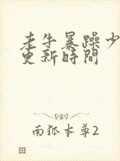 老牛暴躁少女的更新时间