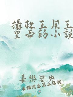 摄政王用玉髓整皇帝的小说