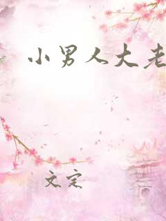 小男人大老婆