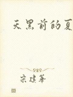 天黑前的夏天