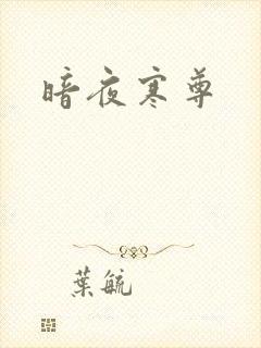 暗夜寒尊