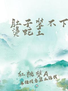 肚子装不下了好烫蛇王