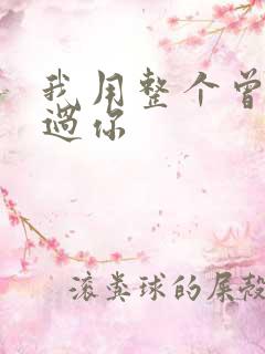 我用整个曾经爱过你