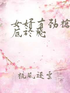 女婿有劲枪枪到底于飞