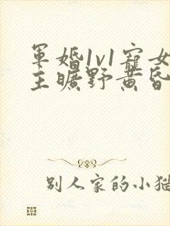 军婚1v1宠女主旷野黄昏