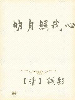 明月照我心小说