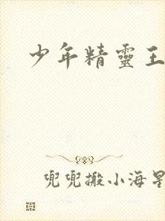 少年精灵王