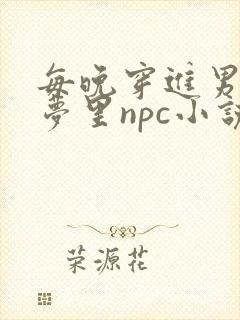 每晚穿进男神的梦里npc小说
