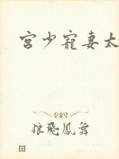 宫少宠妻太凶猛