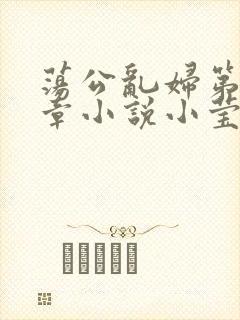 荡公乱妇第51章小说小莹