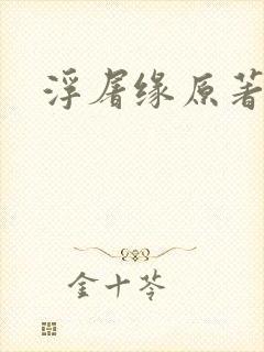 浮屠缘原著小说