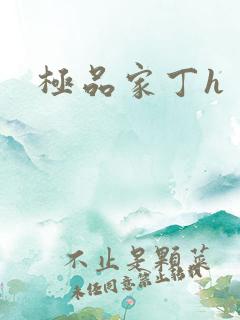 极品家丁h