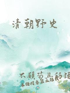 清朝野史