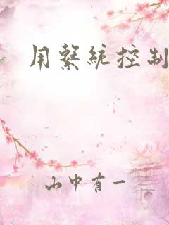 用系统控制女神