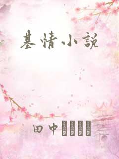 基情小说