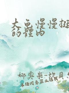 大龟慢慢挺进我的体内