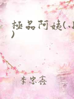极品阿姨(小说)