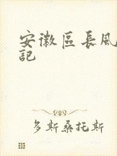 安徽区长风流日记