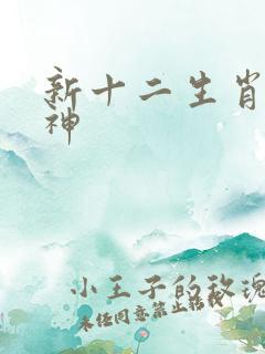 新十二生肖守护神