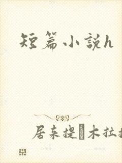 短篇小说h