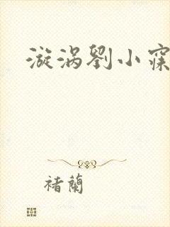 漩涡刘小寐