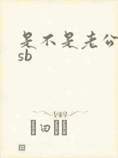 是不是老公的小sb