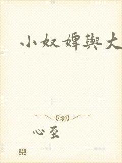 小奴婢与大少爷