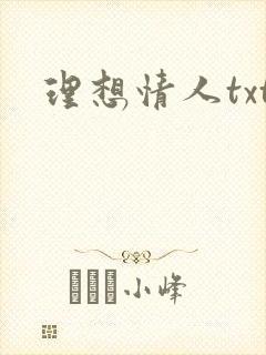理想情人txt