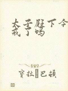 太子殿下今天破戒了吗