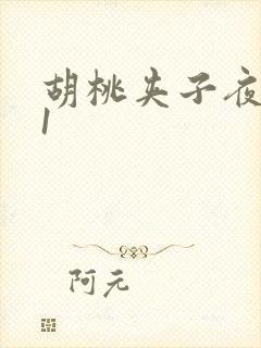 胡桃夹子夜未眠1