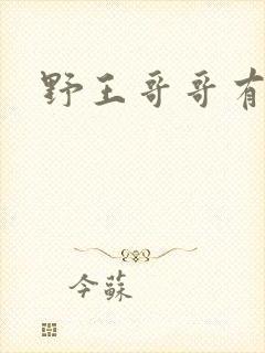 野王哥哥有点甜