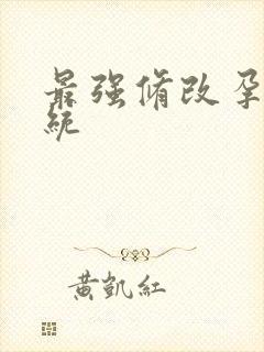 最强修改孕妇系统