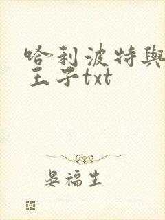 哈利波特与混血王子txt