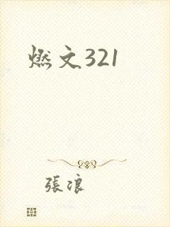 燃文321