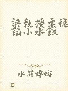 梁教授要稳住肉馅小水饺