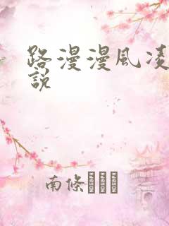路漫漫风凌轩小说