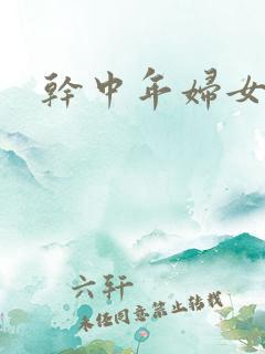 干中年妇女小说