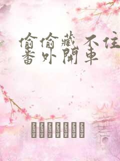 偷偷藏不住婚后番外开车