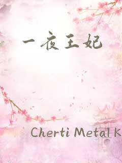 一夜王妃