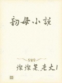 韵母小说